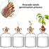 Lawei Glass Avocado Seed Starter Vase, Sprouting Seed Starter Planter Pot, Avocado Tree Growing Kit, Glass Bulb Propagation Flowers Pot, Aqua Cult...