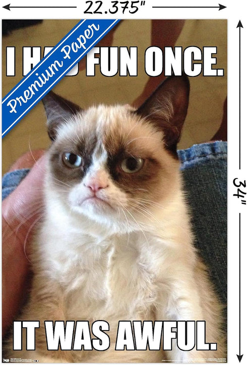 Trends International Grumpy Cat - Fun Wall Poster, 22.375" x 34", Premium Poster & Clip Bundle...
