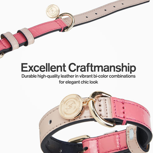 Scotch&Co Leather Pet Collars – Fiber Leather Pet Neckband with Elegant Chic Waxed Cotton Stitched Edges | Adjustable Brass Buckle | Suitable for ...