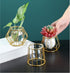 Glass Vase Nordic Small Flower Vase Clear Glass Bud Vases with Metal Geometric Iron Line Cup Vase Pot for Hydroponic Planter Flowers Rack Stand Mo...