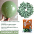 Jonhamwelbor Sage green Balloons Olive Green Eucalyptus Green 100 Pack 12 inch Matte Latex Helium Balloons for Birthday Baby Shower Retro Neutral ...