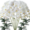 FagusHome 6 Pcs Artificial Phalaenopsis Flowers with 6 Bundles Leaves Artificial Orchid Flowers Stem Plants for Home Décor...