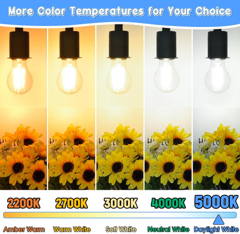 MAXvolador 60W Equivalent E26 LED Filament Light Bulbs, 850LM Daylight White 5000K LED Edison Bulb, Non-Dimmable 6W A19 LED Bulb Medium Base, 4-Pa...