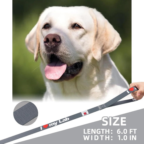 Customized Dog Leash for Your Beloved Labrador Retriever, 6 FTX1IN, Polyester, Strong, Durable, Traditional Style...