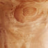 Enrico Root Wood Small Bowl,Brown, 6"...