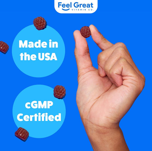 Feel Great Vitamin Co. Elderberry Gummies for Kids | Immune Support | Natural Antioxidant Immune Booster | with Vitamin C and Zinc | Gluten Free &...