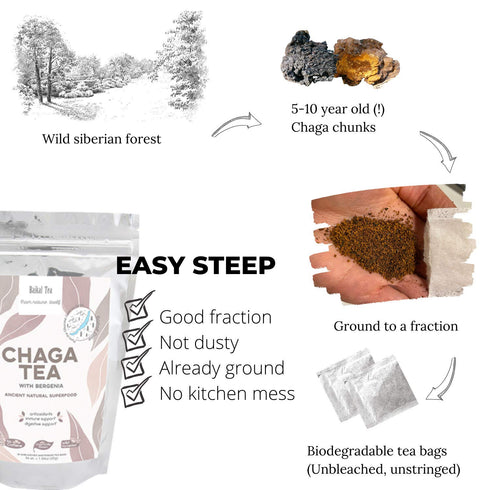 Chaga Tea - 100% Wild Chaga Mushrooms with Bergenia - 30 Unbleached Tea Bags - from Wild Siberian Lake - Hand-Picked by Baikal Tea...