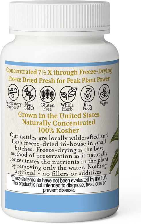 Eclectic Institute Raw Freeze-Dried Non-GMO Nettle Leaf | Healthy Sinus Support, Histamine Response & Respiratory Wellness | 90 CT...