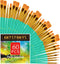 Paint Brushes Set, 60 Pcs Paint Brushes for Acrylic Painting, Oil Watercolor Acrylic Paint Brush, Artist Paintbrushes for Body Face Rock Canvas, K...