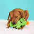 Barkbox BARK Prickly Pete Rip & Reveal Chew Toy for Dogs and Puppies - Small...