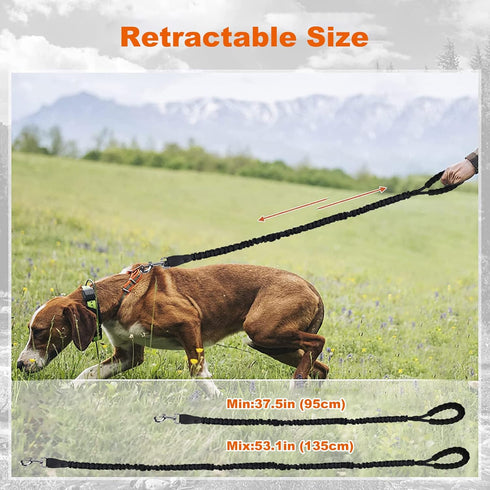 Dog Leash with Comfortable Padded Handle and Highly Reflective Threads, 360-Degree No Tangles and Comfortable Padded Handle,Suitable for Small,Med...