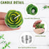 Outee 12 Pcs Cactus Tealight Candles Handmade Delicate Succulent Candle Cactus Candles Smokeless Aromatherapy Mini Candles Tea Lights 12 Styles fo...