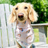 Lucy & Co. Dog Bandana - Designer Puppy Accessory for Boy and Girl Dogs. Made of 100% Polyester. Soft, stylish and appropriate for any occasion. M...