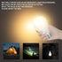 Rechargeable Light Bulbs with Remote Control, 2200mAh Battery Emergency Light Bulb for Power Outage and Camping Outdoor with Remote Control, Dimma...