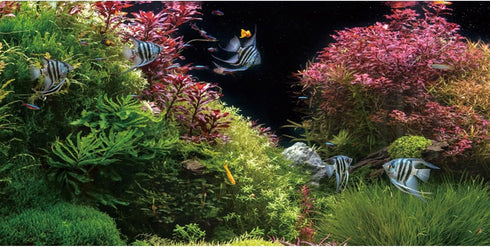 AWERT 36x18 inches Seagrass Aquarium Background Pink Aquatic Plant River Bed & Lake Fish Tank Background Vinyl Background...