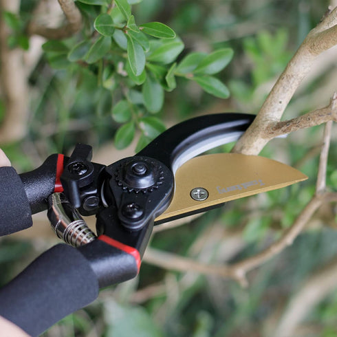 Garden Bypass Pruning Shears, Heavy-Duty Garden Clippers, Garden Scissors, Tree Ttrimmers and Rose Pruning Shears, Multipurpose Garden Shears for ...