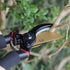 Garden Bypass Pruning Shears, Heavy-Duty Garden Clippers, Garden Scissors, Tree Ttrimmers and Rose Pruning Shears, Multipurpose Garden Shears for ...