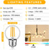 G16.5 LED Light Bulbs 60 watt, Globe Small Light Bulb, E26 Bulb Neutral White 4000K, Led Edison Bulb 6W for Celling Fan, Chandelier, Vanity Light ...