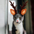 Beaupretty Christmas Hat for Cat Pet Deer Costume Hat Dog Reindeer Costume Elastic Band Adjustable Antler Headband Cat Costume Cat Christmas Antle...