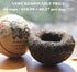 Jinglong Tea Factory - Puerh Tea Tuocha Jumbo Dragon (40 Cups) Ripe Pu-erh (3.6 Ounce)...