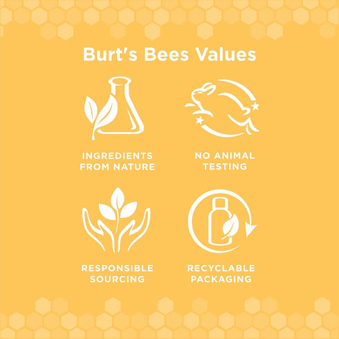 Burt's Bees for Pets Bamboo Bristle Dog Toothbrush - Naturally Derived Dog Toothbrush Made from Bamboo - BPA Free, Ergonomic Handle Toothbrush for...