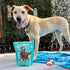 Fromm Crunchy Os Slammon' Smoked Salmon Dog Treats - Premium Crunchy Dog Treats - Salmon Recipe - 6 oz...
