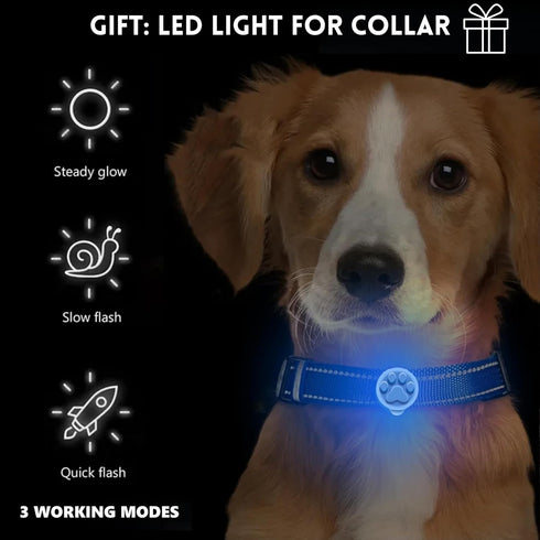 Dog Bark Collar, Smart Bark Collar for Small Medium Dogs, Automatic No Shock Anti Barking Training Collar, Rechargeable No Bark Collar. Stop Barki...