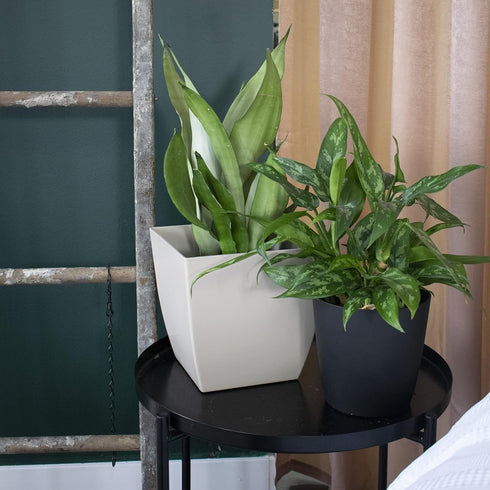 The HC Companies 8 Inch Aria Square Self Watering Planter - Plastic Plant Pot for Indoor Outdoor Plants Flowers Herbs, Glossy Black...