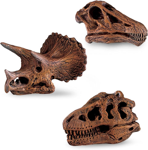 Safari Ltd Dinosaur Skulls TOOB - 11 Mini Figurines Including Velociraptor, Brachiosaurus, Oviraptor, Triceratops, Tyrannosaurus Rex and More - Ed...