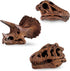 Safari Ltd Dinosaur Skulls TOOB - 11 Mini Figurines Including Velociraptor, Brachiosaurus, Oviraptor, Triceratops, Tyrannosaurus Rex and More - Ed...