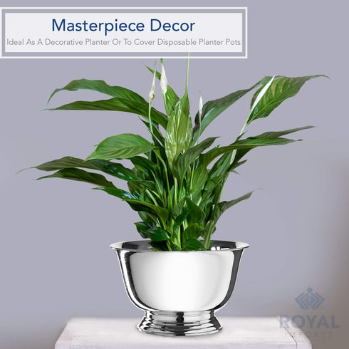 Royal Imports 8" Decorative Plastic Planter Pedestal Bowl- Flower Pot Cover, Footed Succulent Dish for Wedding, Party, Garden, Home and Holiday De...