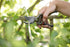 Spear & Jackson 5559BS Razorsharp Style Pruners, Vintage Bypass, Black & Silver...