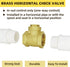 1/2 One Way Check Valve, 1/2" Female Thread Horizontal Swing Brass Check Valve to Prevent Water Backflow, Fuel Oil Water Gas Air Check Valve for S...
