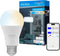 Enbrighten Vibe Smart Light Bulb, A19, Dimmable, 2700K-6500K Adjustable White, Compatible with Alexa and Google Home, Wi-Fi Light Bulb, 51336...