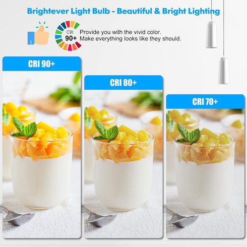 LED Light Bulbs, 100 Watt Equivalent A19, 13W 5000K Daylight White 1500 Lumens Non-Dimmable Bright E26 Edison Medium Screw Bulbs for Home Bedroom ...