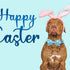 Dog Collar - Easter Day Dog Collar Bows for Dogs Bowtie Cute Bunny Print Adjustable Dog Collar Girl Pet Gift Blue Dog Collar for Medium Small Larg...