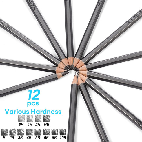 Dyvicl Professional Drawing Sketching Pencil Set - 12 Pieces Drawing Pencils 10B, 8B, 6B, 5B, 4B, 3B, 2B, B, HB, 2H, 4H, 6H Graphite Pencils for K...