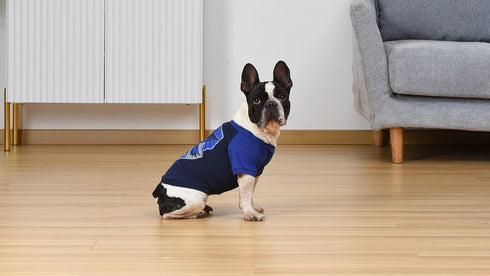 Harry Potter Ravenclaw Pet T-Shirt in Size Extra Large | XL Dog T-Shirt, Harry Potter Dog Shirt | Harry Potter Dog Apparel & Accessories for Hogwa...