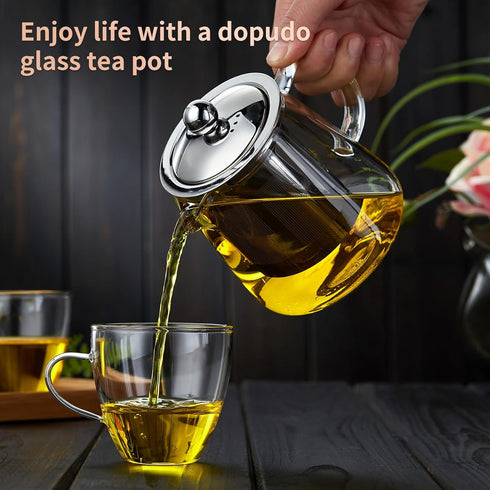 Glass Teapot 18.6 oz, Borosilicate Glass Tea Pot with Detachable Stainless Steel Infuser, Clear Tea Kettle for Loose Leaf Tea, Blooming Tea, Tea B...