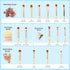 Jessup Eye Makeup Brushes Set, Premium Synthetic Eyeshadow Blending Concealer Eyebrow Eyeliner Brush, 15pcs Labeled Bamboo Make Up Brushes T137...