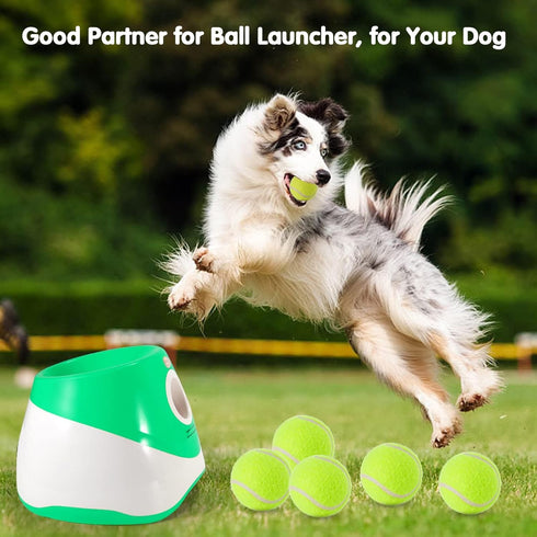 12 Pack Mini Tennis Balls for Pet Playing Fecth, 2 inch Dog Training Tennis Balls for Small Size Dogs, Interactive Dog Playing Balls Fits 2 inch A...