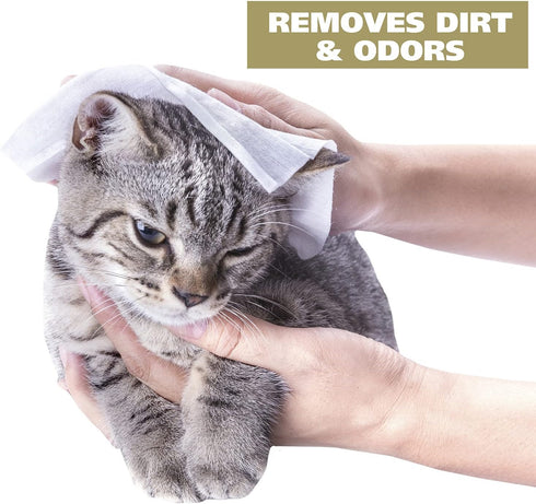 Wahl USA Cat Refresh Cleaning Wipes with Oatmeal Formula for Refreshing and Cleaning Dirty Cats - 50 Count - 820017-500...