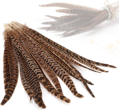 20pcs Natural Pheasant Tails Feather for Hair Hats Crafts Home Wedding Party Decoration (30-35cm)...