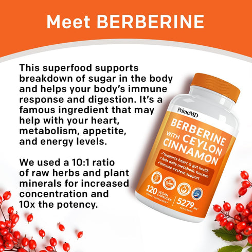 21-in-1 Berberine Supplement with Ceylon Cinnamon - Berberine 1500 mg with Chromium, Bitter Melon and Green Tea Extract - Berberine 5X for Weight ...