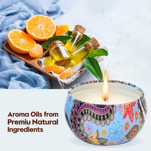 Scented Candles Gift Set for Women, 12 Pack 2.5 Oz Soy Wax Travel Tin Aromatherapy Candles for Home Scented, Perfect for Birthday, Christmas, Stre...