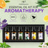 Refresh Essential Oil Set, 6x10ml Aromatherapy Oils for Diffuser, Humidifier, DIY Candle, Air Purifier...