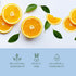 Vitamin C Serum With Collagen - Dermatologist Tested - Korean Skin Care for Dark Spots & Skin Brightening - Anti Aging & Acne Facial Serum - Cruel...
