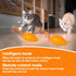 BABORUI Upgraded Cat Interactive Toy, Remote Control Mouse Toy, Automatic Cat Mouse Toys with Feathers, Moving Smart Cat Toy Car for Indoor Cats, ...