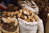 Dragon Herbs - Astragalus Root Drops - 2 fl oz...