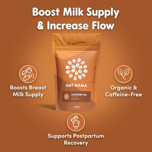 Oat Mama Lactation Tea for Breastfeeding Moms - Chai Spice | Breastfeeding Essentials for Milk Supply Increase | Organic Lactation Support & Postp...